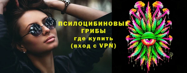прущая мука Бородино