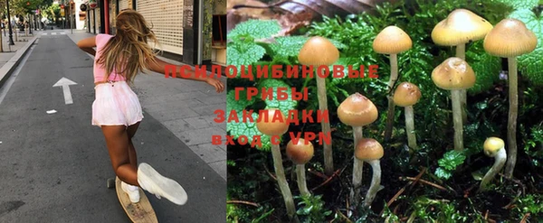 прущая мука Бородино