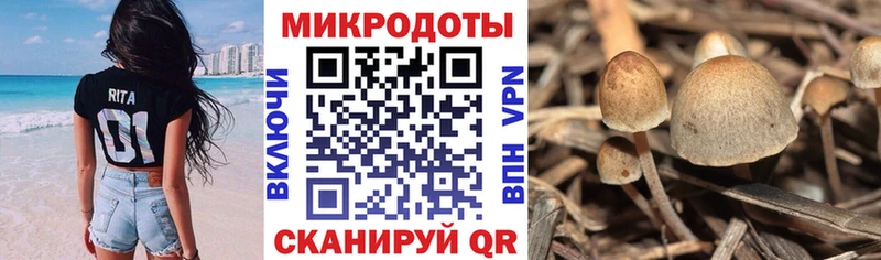 Псилоцибиновые грибы мухоморы  Благовещенск 